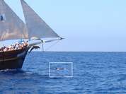 Bootstour zu den Delfine und Wale Bootstour zu den Delfine und Wale