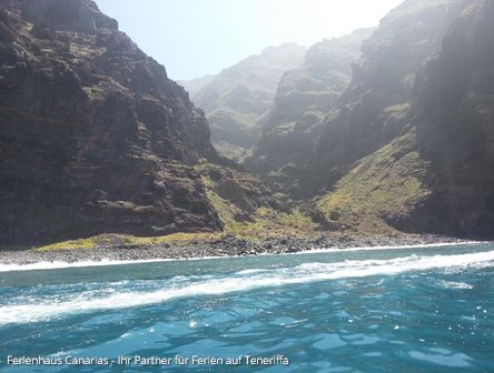 Teneriffa | Sehenswert: Wale & Delfine
