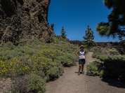 Eine Wanderin im Teide National Park