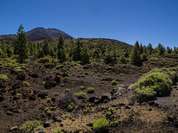 Naturlandschaft im Teide National Park