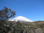 Verschneiter Gipfel des Teide