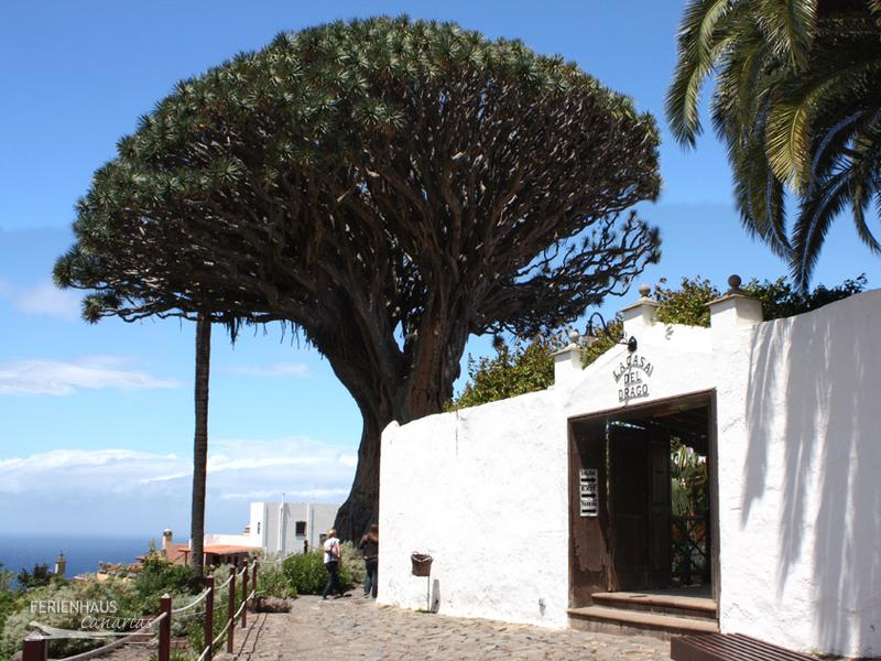 La-Casa-Del-Drago La-Casa-Del-Drago