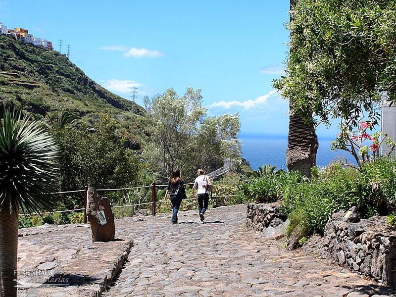 Spaziergang-im-Parque-del-Drago Spaziergang-im-Parque-del-Drago