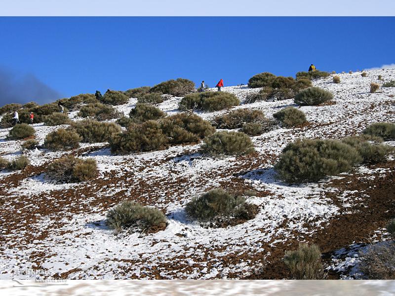 Winterspass auf Teneriffa