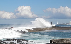 Urlaub an der Nordküste Teneriffa